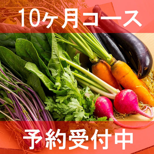 【2024年予約商品】エブリイふぁーむ旬野菜BOX定期便　10か月コース