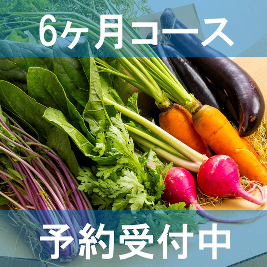 【2024年予約商品】エブリイふぁーむ旬野菜BOX定期便　6か月コース